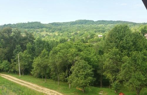 Oestii Paminteni Casa | Casa Dobrin