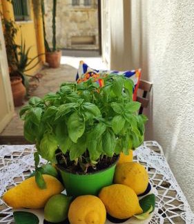 Letojanni Apartamento | Casa Don Michele