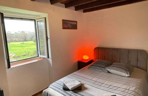 Ferro Casa | Casa Dora
