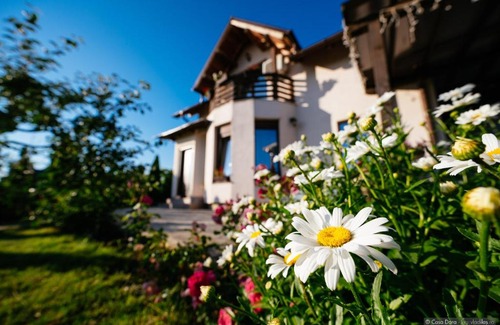Scheia Casa | Casa Dora