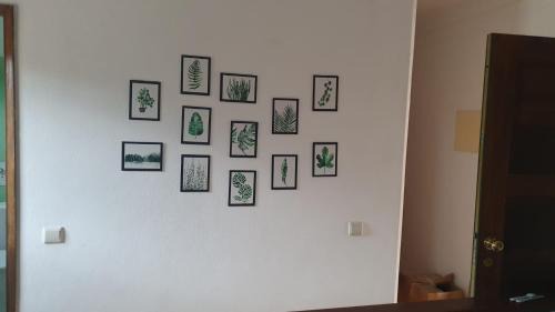 Ribeira de Pena Casa | Casa dos Covelos
