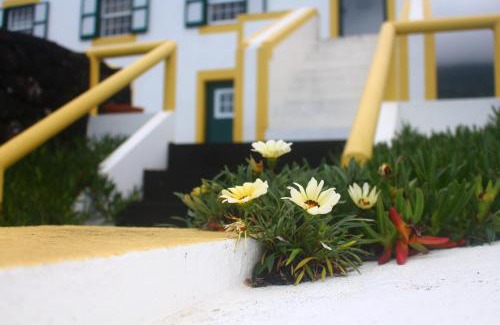 Santo Amaro Casa | Casa dos Felicias