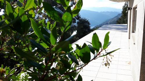 Ancede Casa | Casa Douro Terrace