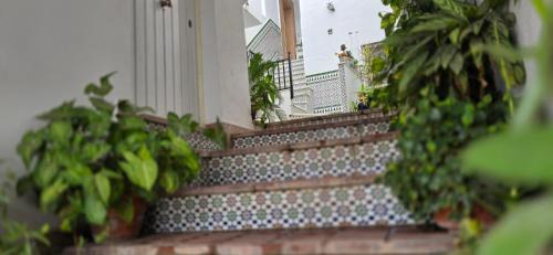 Alcala de los Gazules Apartamento | Casa dSanz "Relax con bañera de hidromasaje"