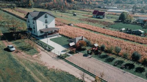 Cerasu Casa | Casa Dumitru