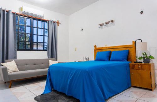 Colonia Independencia Apartamento | Casa Elena