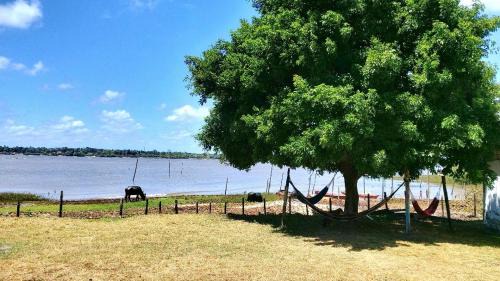Soure Casa | Casa em Soure Ilha de Marajó.