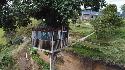 Titiribi Otro | Casa en el árbol en Titiribi