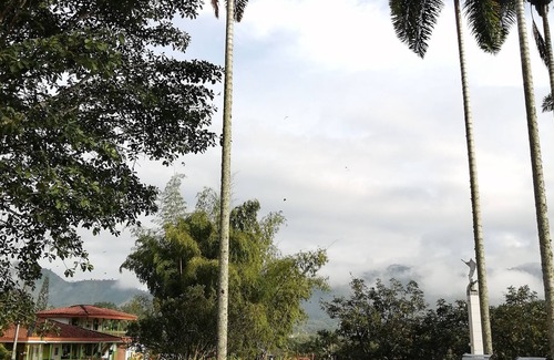 Pereira Cabaña | Casa En El Arbol