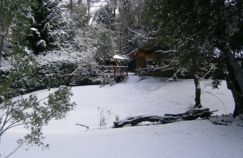 Puerto Manzano Casa | Casa en el bosque de Puerto Manzano