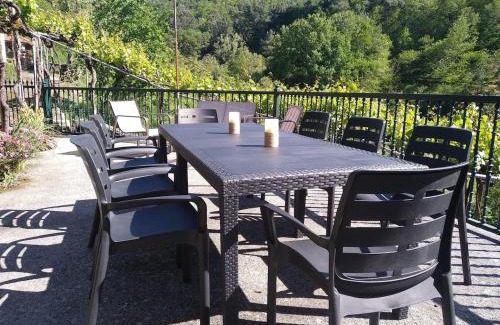 Nogueira de Ramuin Casa | Casa en Viñoas (Ribeira Sacra)
