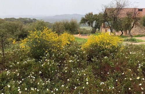 San Vicente de Alcantara Cabaña | Casa Rural Villavieja para 10 personas (hasta 2 en cama adicional)