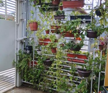 Terra Firme Apartamento | Casa espaçosa para COP 30