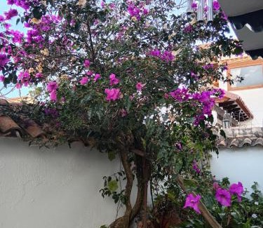 Old Town Casa | Casa Familiar Central Villa Diana