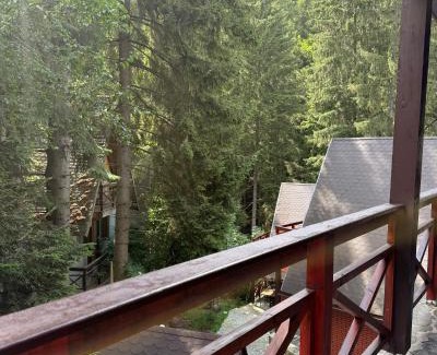 Poiana Brasov Cabina | Casa Familiei