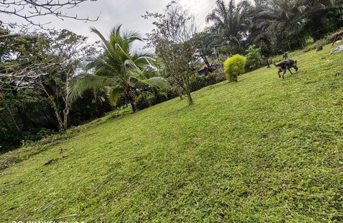 Rio Claro Apartamento | Casa feliz