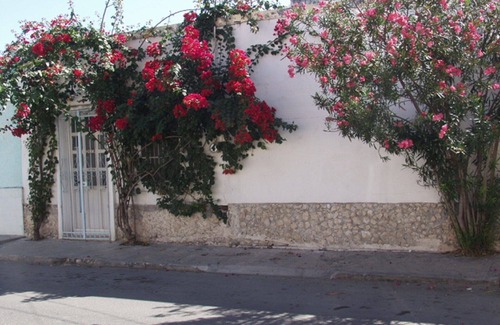 Barrio de Santiago Casa | Casa Flora Peaceful Oasis in el centro long term specials!