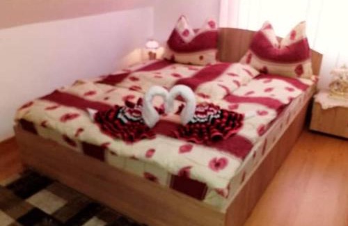 Soars Casa | Casa Florilor Barcut