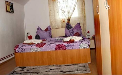Soars Casa | Casa Florilor Barcut