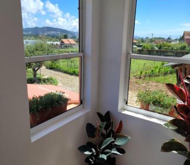 Tabagon Casa | Casa Folhas Novas