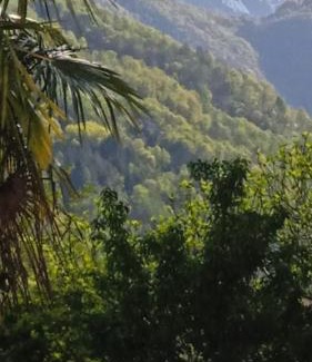 Terre di Pedemonte Apartamento | Casa Francesca