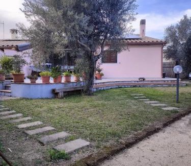 Camisa Casa | Casa Francesca