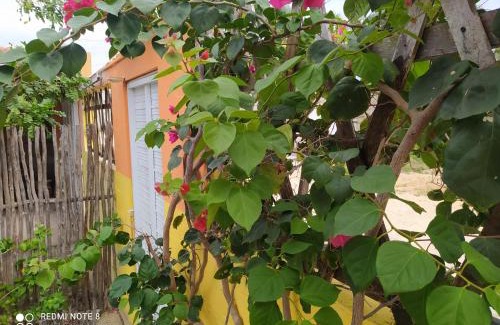 Camocim Cama Y Desayuno | Casa Grande