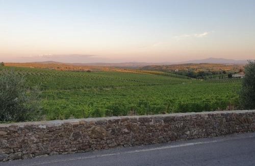 San Gusme Apartamento | Casa Guardiavigna in Chianti