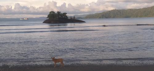 Nuqui Casa | casa guayaba lodge