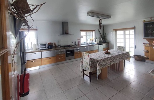Castro Daire Casa | Casa Guerreiro in Mões