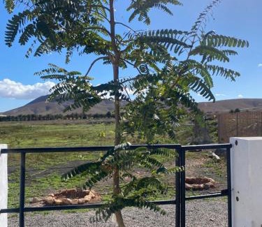 Valles de Ortega Casa | Casa Guillermo