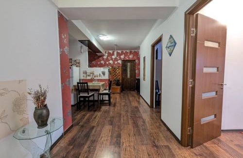 Miroslava Casa | Casa Helen House, Iasi