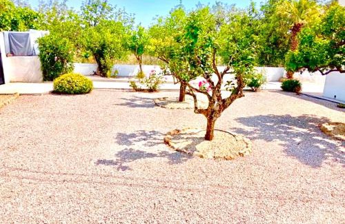 Tavira Villa | Casa Helena