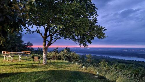 Inija Casa | Casa Horizont