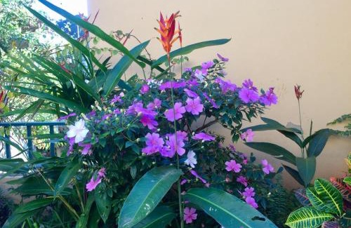 Santa Teresa Cama Y Desayuno | Casa igba
