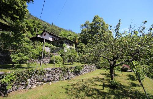 Terre di Pedemonte Casa | Casa Ilvea