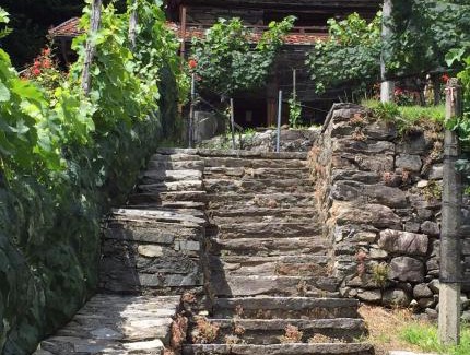 Roveredo Apartamento | Casa immersa nel vigneto