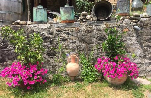 Roveredo Apartamento | Casa immersa nel vigneto