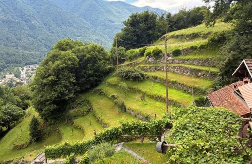 Roveredo Apartamento | Casa immersa nel vigneto