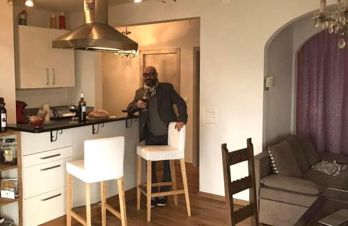 Magadino Apartamento | Casa Ines