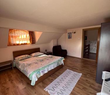 Bistrita Bargaului Casa | Casa Iris Colibita