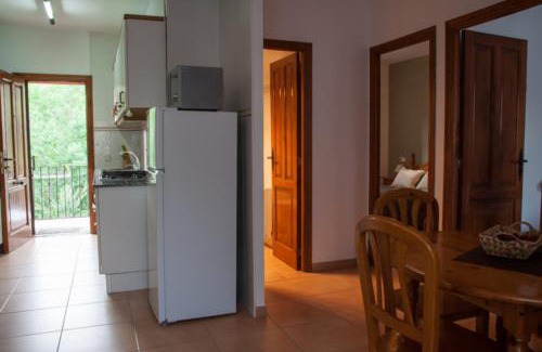Bisaurri Apartamento | Casa Javier