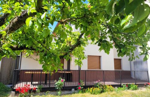 Riezu Casa | Casa Julio, bonita casa cómoda y espaciosa, totalmente reformada con terraza y jardin privado