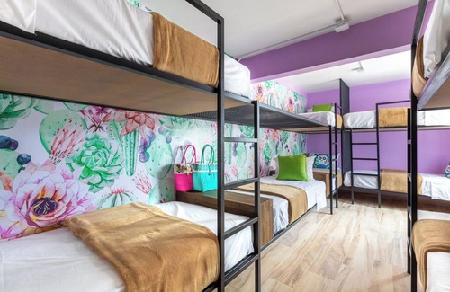 Colonia Cuauhtemoc Hotel | Casa Kanabri, Hostal Boutique en CDMX