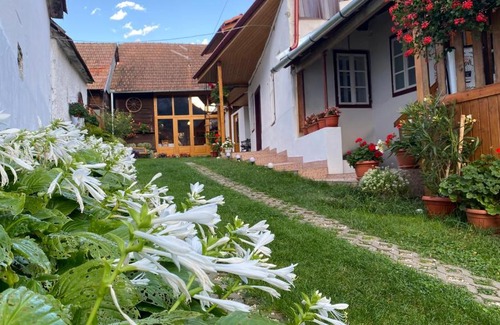 Rimetea Casa | Casa Kelemen Irén