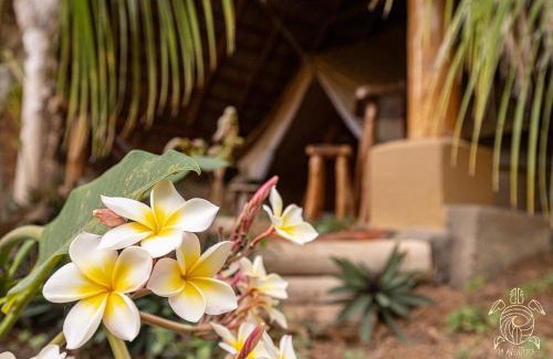 Popoyo Apartamento | Casa La Aventura Guasacate - Popoyo