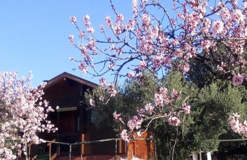 Tahal Casa | Casa La Colina Mandarina I