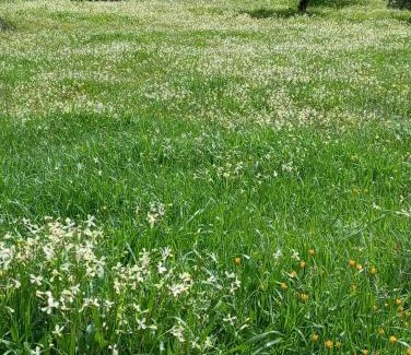 Tahal Casa | Casa La Colina Mandarina I