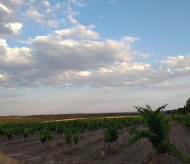 Salas Bajas Casa | Casa la Era