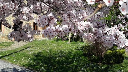 La Granja Casa | Casa La Escuela